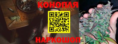 прущие грибы Заволжье