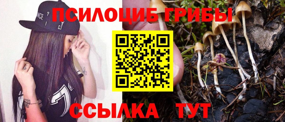 Галлюциногенные грибы MAGIC MUSHROOMS  Псилоцибиновые грибы прущие грибы  Кунгур  Вход с VPN 