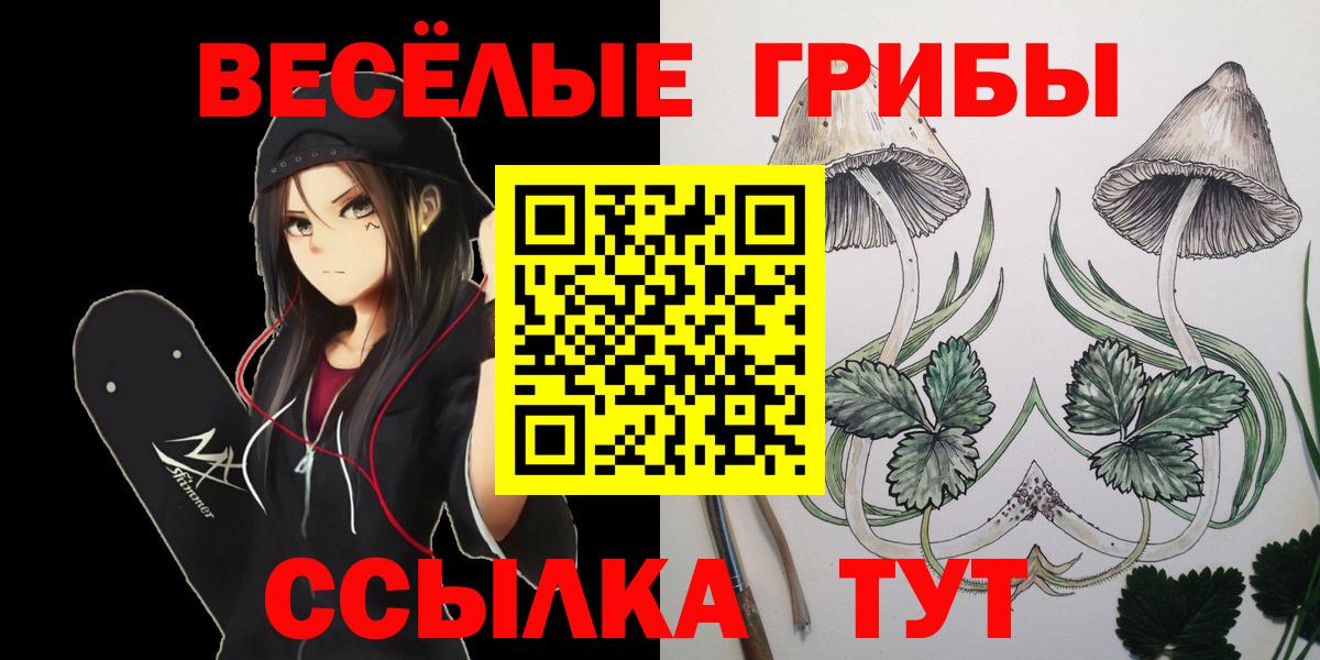 Псилоцибиновые грибы GOLDEN TEACHER Кунгур